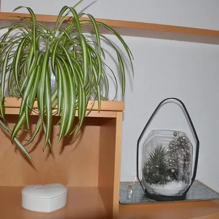 Streng Appartement *